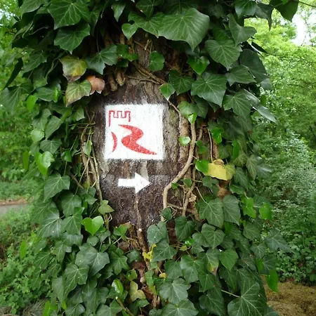 Rheinblick كامب بورنهوفن