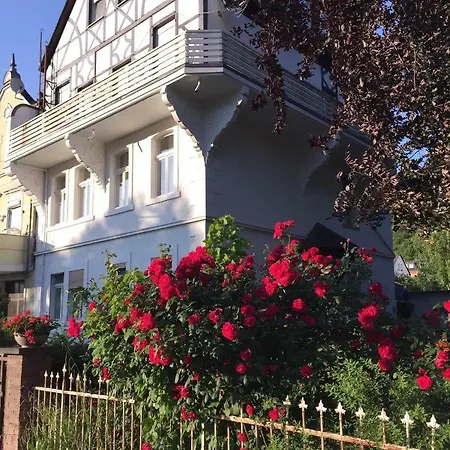 Apartman Rheinblick *