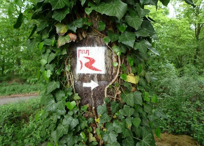 Rheinblick Kamp-Bornhofen